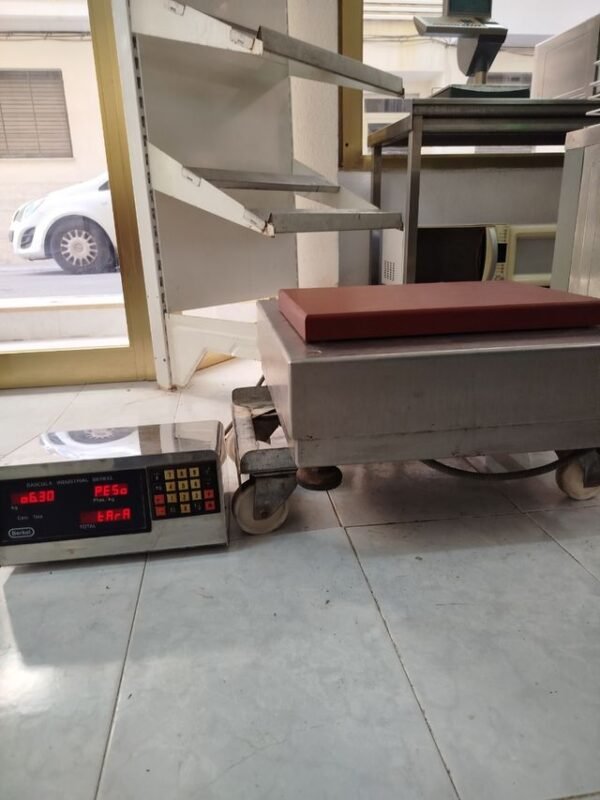 Balanza industrial capacidad 500kg - Imagen 3